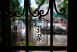 青島,咖啡店,花朵