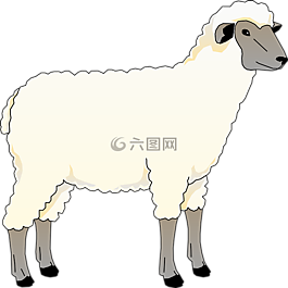 羊,動(dòng)物,谷倉(cāng)