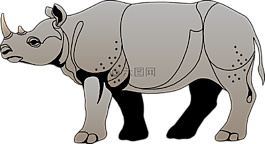 犀牛,灰色,查看