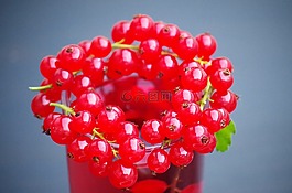 葡萄干,水果,健康