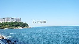 陽(yáng)移動(dòng)。,束草的。,深海