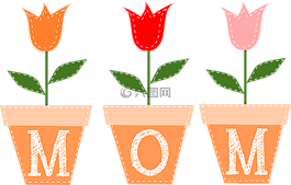 郁金香,鮮花,花盆