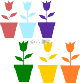 郁金香,鮮花,花盆