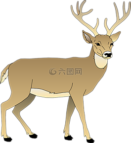 鹿,男,動物