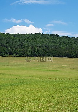 林,視圖,國(guó)家