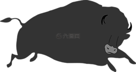 野牛,眼睛,大