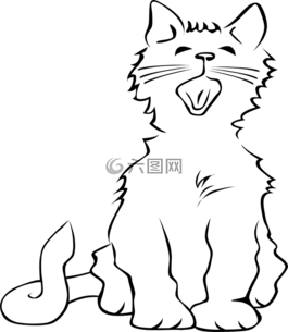 貓,寵物,動物