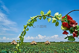 農(nóng)場,農(nóng)村,性質(zhì)