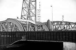 鹿特丹,威廉橋,體系結(jié)構(gòu)