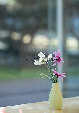 野花,花瓶,靜物