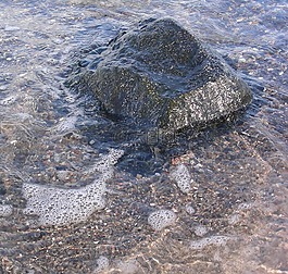 石,水,波羅的海