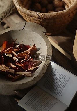 秋季,紅色,葉子