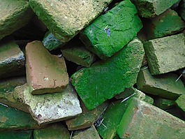 磚,一堆磚,moss
