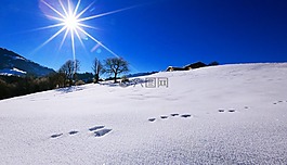 schee,山,太陽