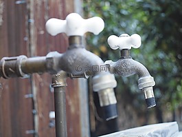 水龍頭,花園,老