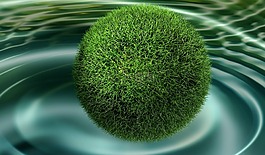 實驗,3d,草