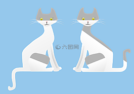 貓,動物,兩