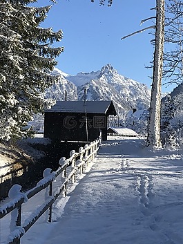 雪,冬天,冷