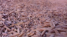 批處理,干,桌面