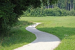 離,森林,森林路徑