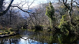 苏格兰,河,流入该湖