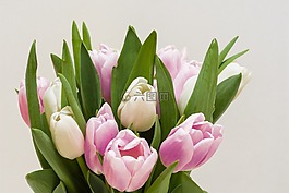 鲜花,bouqet,自然