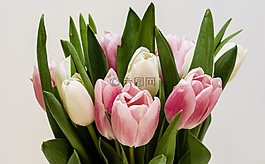 鲜花,bouqet,自然