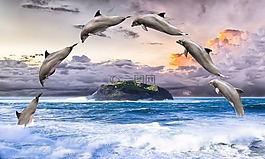 海豚,海洋哺乳動(dòng)物,桌上彈球