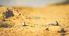 地面,沙,沙漠