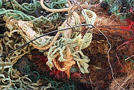 漂流物,環境,網絡