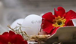 蛋,秸稈,花