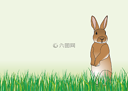 野兔,復(fù)活節(jié),春天