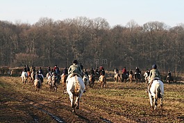 狩獵,馬術(shù),馳騁