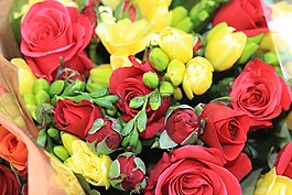 鮮花,花卉,花束