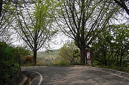 吉,木材,大自然