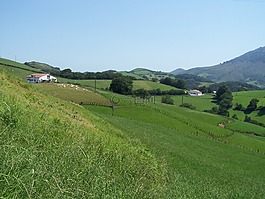 性質(zhì),草坪,景觀