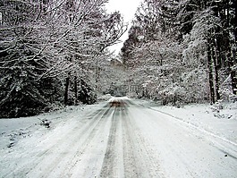 雪,白,冬天