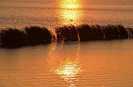 日落,海,湖