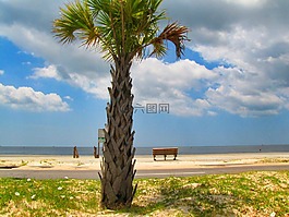 海灣,海岸,海灘