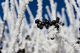 雪,冰,gefrohren