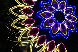 排灯节,deepawali,庆典