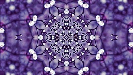 鮮花,萬花筒,紫
