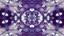 鮮花,萬(wàn)花筒,紫