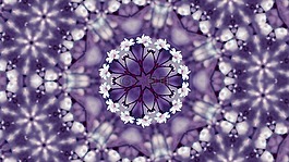 鮮花,萬花筒,紫
