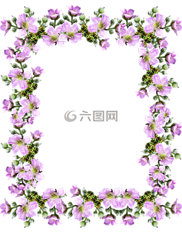 幀,邊境,粉紅色