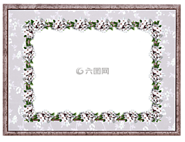 帧,边境,达芙妮