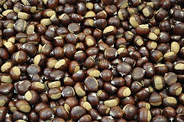 marroni,板栗