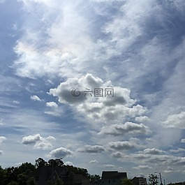 云,天空,樹