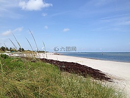 海灘,夏天,太陽