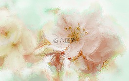 白色的花,畫,藝術(shù)
